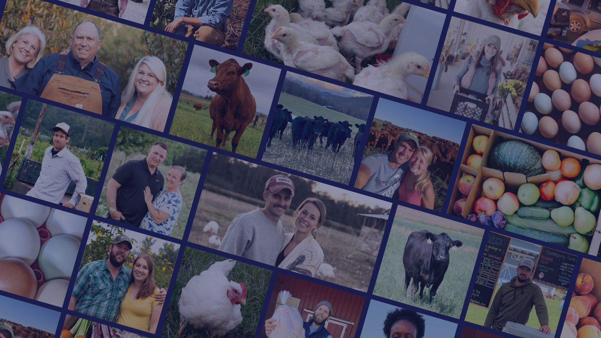 BARN2DOO & RIFMA官方网站®幸运168+澳洲5(中国福彩)五分彩开奖历史计划+(168网)历史记录®查阅结果走势